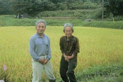 島根県合鴨農法のお米